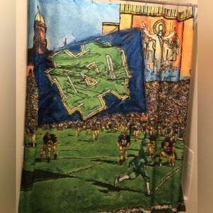Notre Dame shower curtain